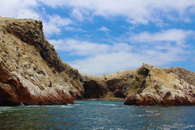 Boat Tour of the Ballestas Islands in Paracas - Environmental Education Focus