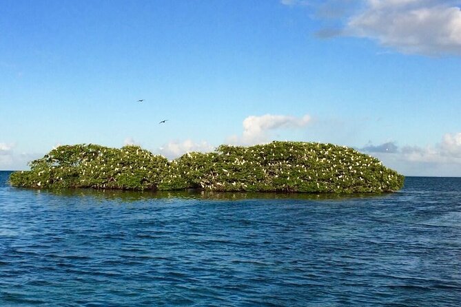 Boat Trip Visit Mangroves, Islets and Lagoon - Passenger Tax and Payment