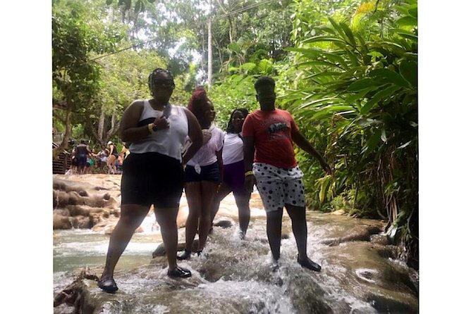 Bob Marleys Nine Mile & Dunns River Falls Tour: Transportation & Ticket - Visitor Tips