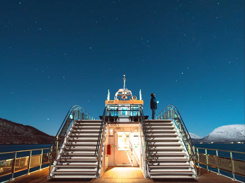 Bodø: Northern Lights Cruise - Tips for a Successful Experience