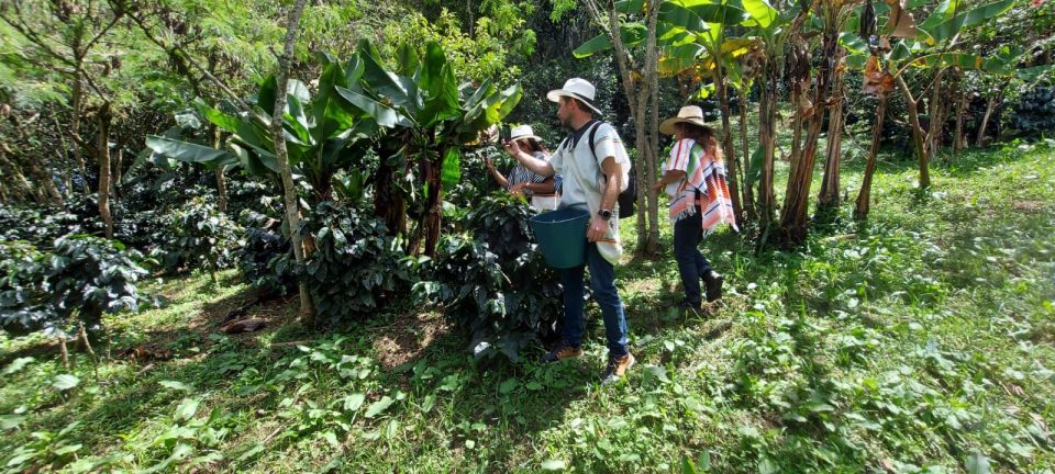 Bogotá: Guided 5-Hour Coffee Farm Tour - Booking Information