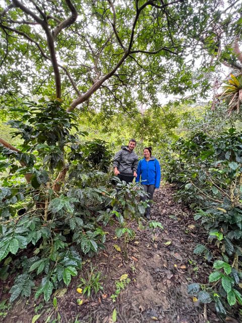 Bogota: Private Coffee Tour in Silvania - Coffee Farm - Related Coffee Tours in Bogotá