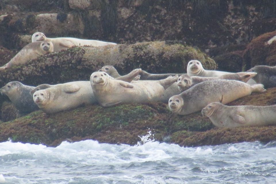 Boothbay Harbor Cruise: Lighthouses, Lobster Haul, and Seals - Meeting Point and Parking