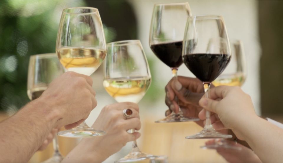Bordeaux : Full Day Wine Tastings & Lunch - Safety and Restrictions