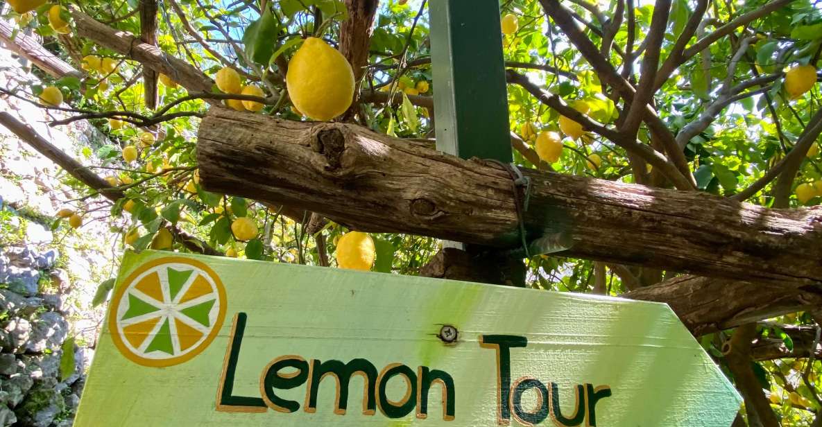 Botanic Naturalistic Lemon Tour & Tasting - Accessibility Considerations