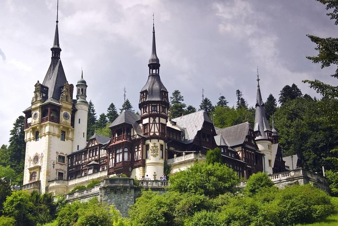 Bran Castle, Peles Castle and Brasov City - Private Tour From Bucharest - Positive Reviews From Satisfied Customers