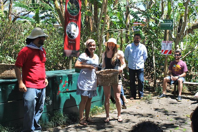 Britt Coffee Tour From San José - Booking Information