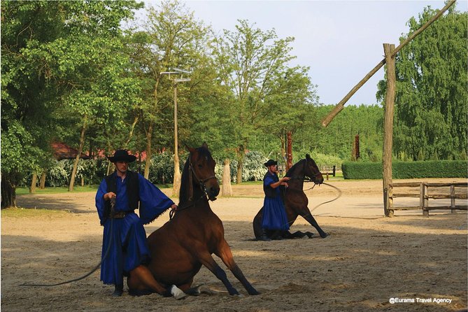 Budapest Puszta Day Trip to Kecskemet Icluding Horse Show & Lunch - Additional Information