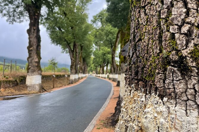 Buggy and Moto 4 Tours in Marvão - Exploring Marvãos Attractions