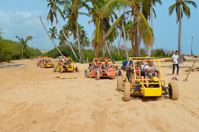 Buggy in Punta Cana Cenotes, Beach and Adventure - Customer Reviews and Ratings