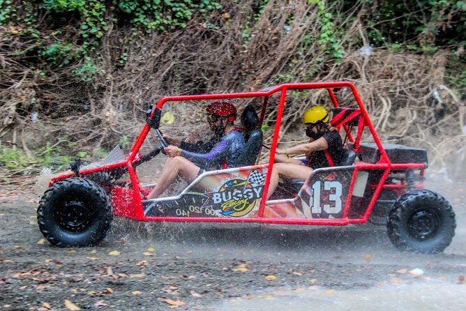 Buggy Tour From Amber Cove and Taino Bay Puerto Plata - Booking Process and Policies