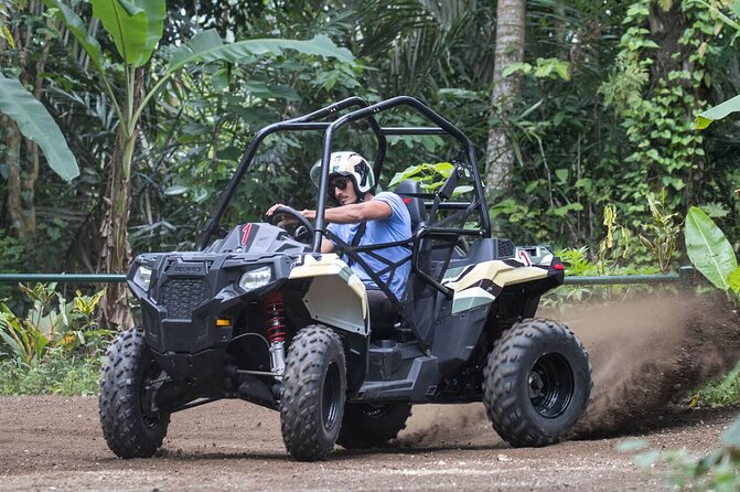 Buggy. Water Cave, Coffee, Chocolate, Cigar Test in Punta Cana - Local Attractions to Explore