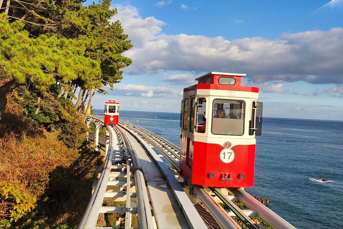 Busan Private Tour - Tips for a Great Tour Experience