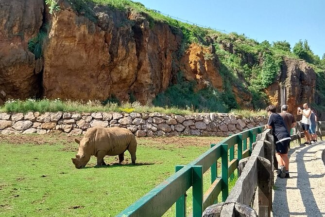 Cabarceno Natural Park Visit - Getting There