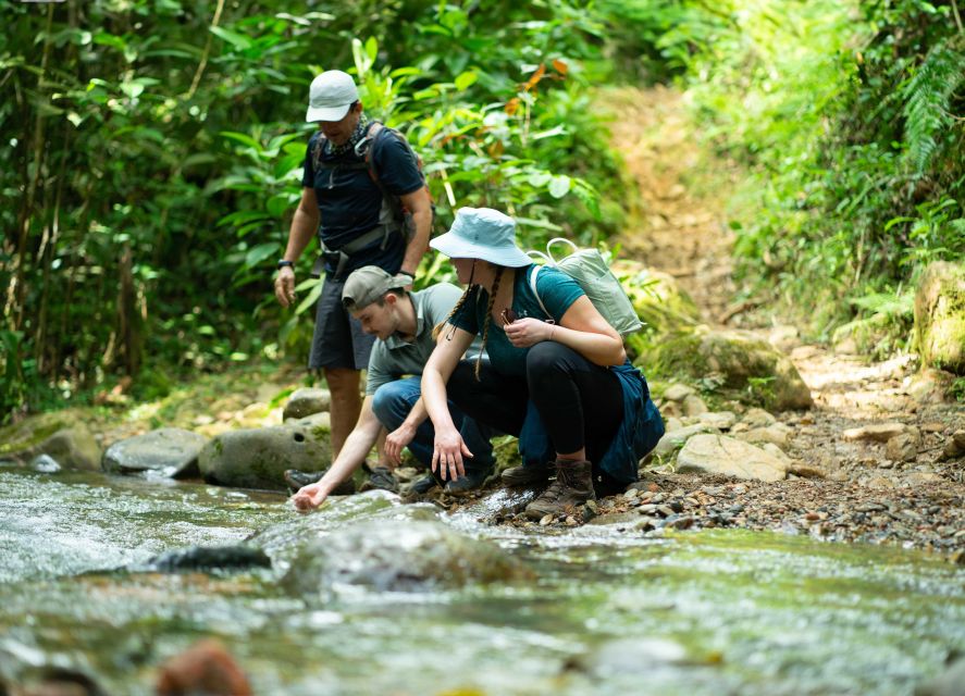 Cali: Hiking to the Pance Waterfalls - Tips for an Enjoyable Experience