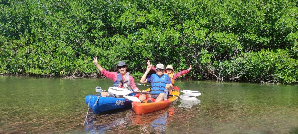 Cancun: 3-Hour Kayak Tour in Nichupte Lagoon - Exploring the Mangrove Forests