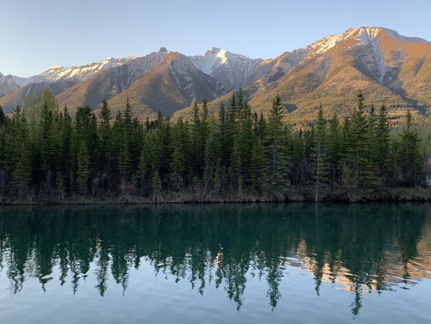 Canmore: 4-Hour Banff Park Safari Drive & Nature Walk - Meeting Point Details