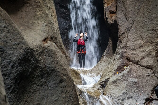 Canyon Experience in Dominica - What to Expect on the Tour