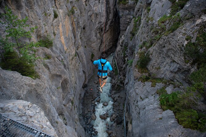 Canyon Swing With OUTDOOR - Age and Weight Restrictions