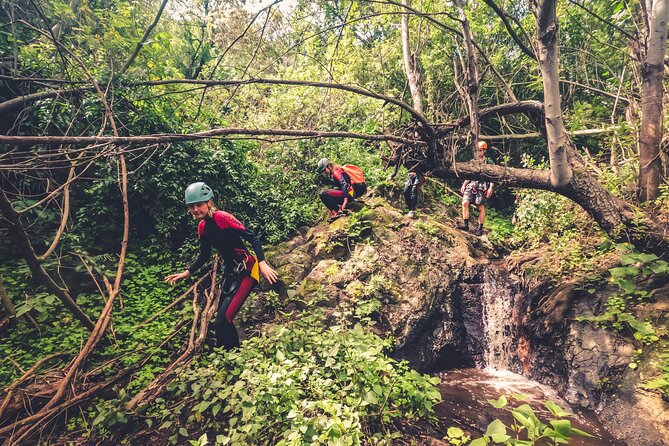 Canyoning With Waterfalls in the Rainforest - Small Groups - Natural Wonders