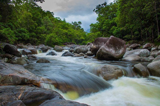 Cape Tribulation Day Tour - Tips for a Great Tour