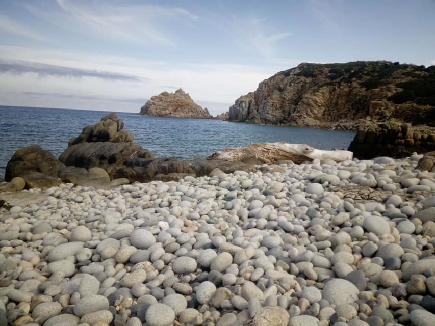 Capo Pecora: Trekking Tour to Scivu Beach With Aperitif - Local Flora and Fauna