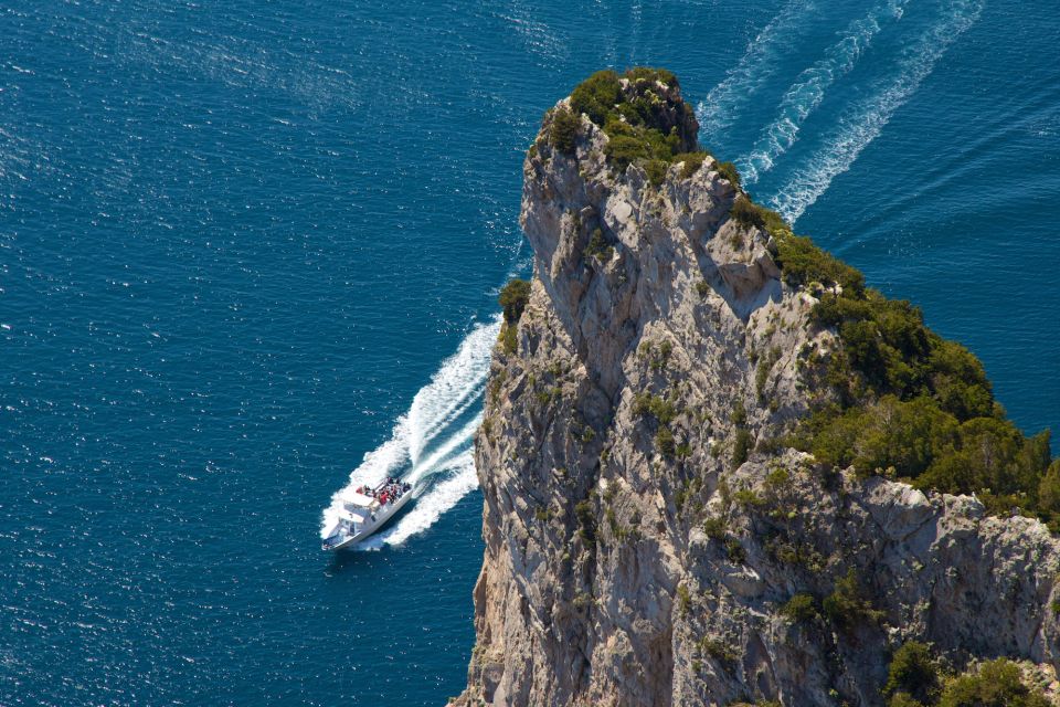 Capri: Guided Island Highlights Boat Tour - Tips for Travelers