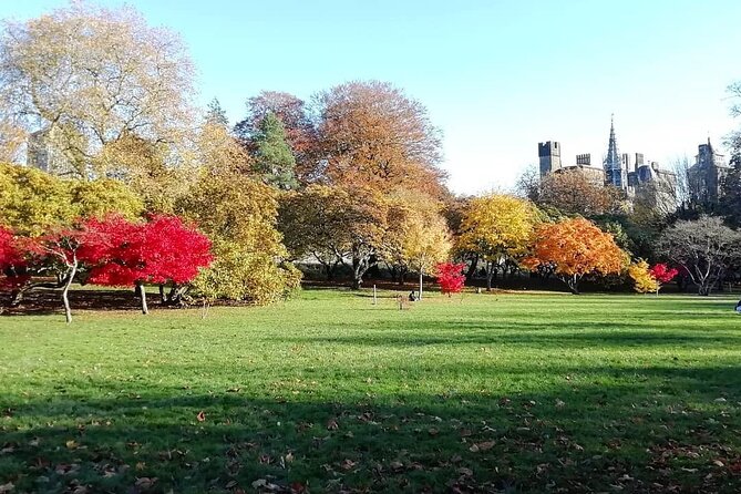 Cardiff City Private Guided Walking Tour - Tour Start and End Point
