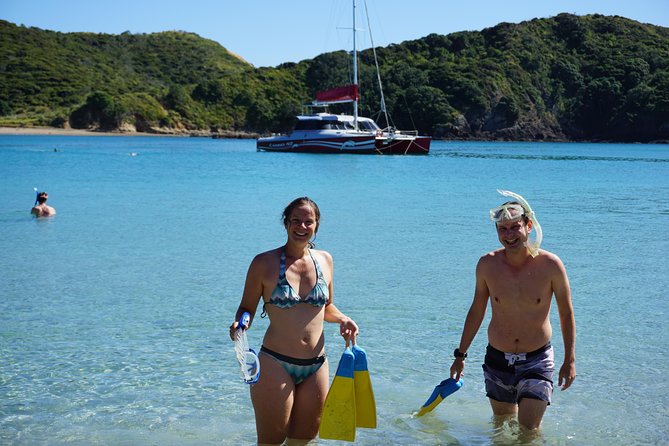 Carino Wildlife Cruises - Island and Wildlife Day Cruise - Exploring the Bay of Islands