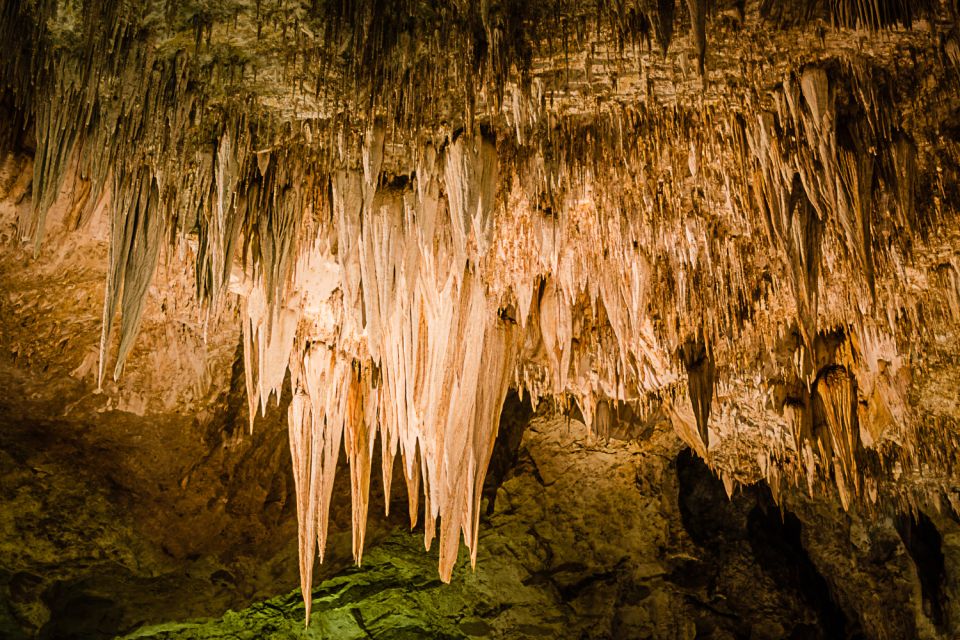 Carlsbad Caverns National Park Walking Audio Tour - Frequently Asked Questions