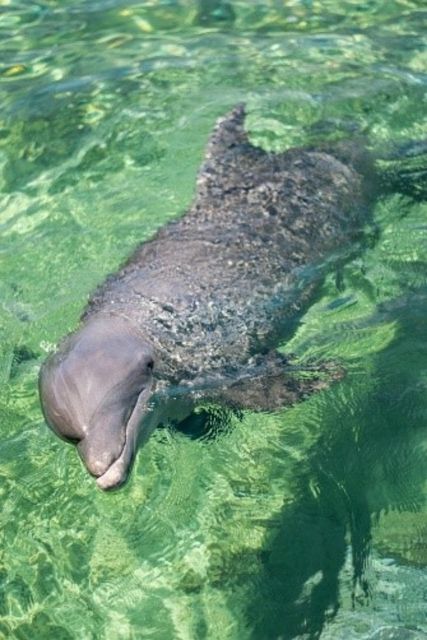 Cartagena: Baru Playa Blanca & Rosario Islands by Boat/Lunch - Frequently Asked Questions