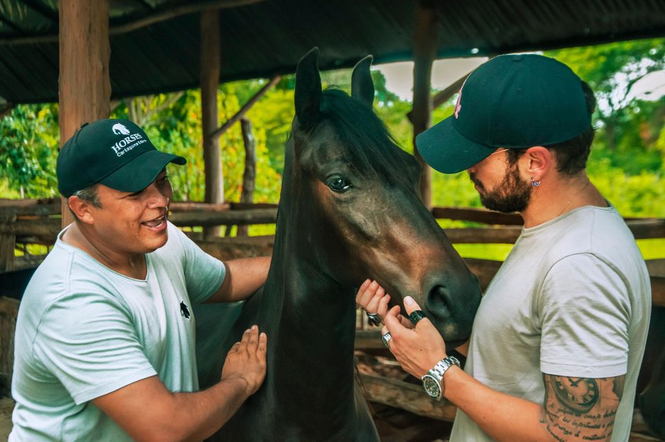 Cartagena: Beach Horse Ride and Colombian Horse Culture