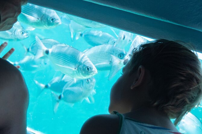 Catamaran to Cap Norfeu & Joncols With Super Submarine Vision - Additional Tour Information