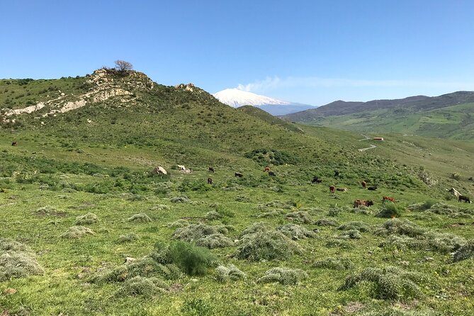 Catania: Etna Morning Jeep Tour - Refund Scenarios