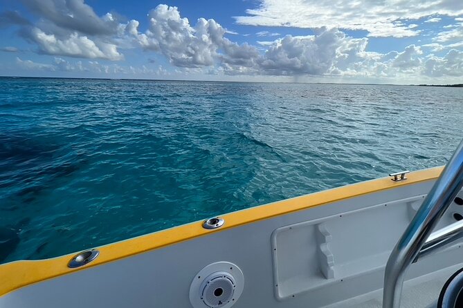 Cayman Private Luxury Charters - Stingray City, Snorkel, & More - Tips for a Great Experience
