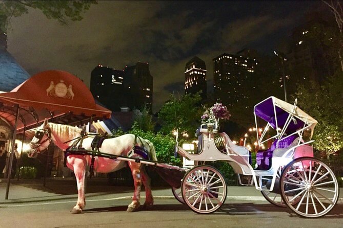 Central Park and NYC Horse Carriage Ride OFFICIAL ( ELITE Private) Since 1970™ - Tips for an Enjoyable Experience