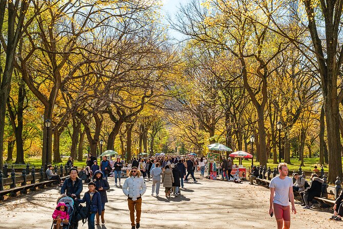 Central Park Private Pedicab Tour (60 Mins) - Why Choose This Tour