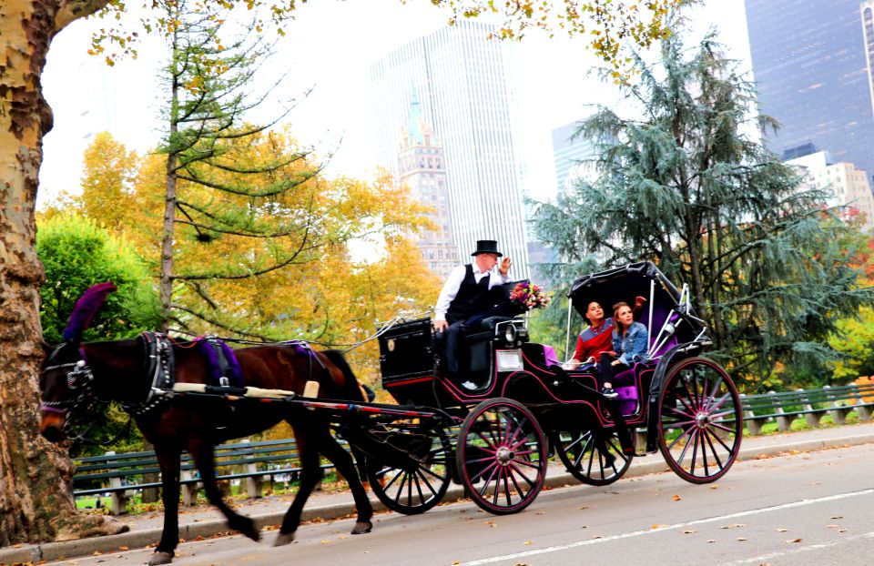 Central Park: Short Horse Carriage Ride (Up to 4 Adults) - Live Customer Service