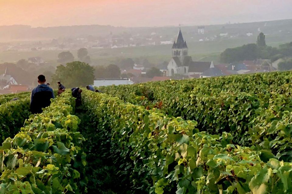 Champagne Moët & Chandon, Pressoria Small Group From Paris - Important Accessibility Notes
