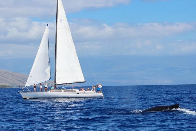 Champagne Sunset Sail From Lahaina Harbor - What to Expect