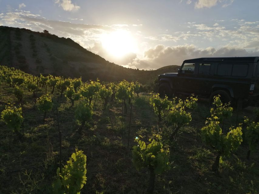 Chania Premium Sunset Safari Tour - Pickup and Drop-off Locations