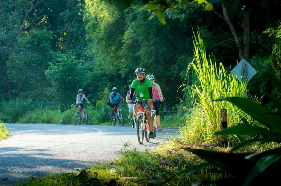 Chiang Mai Countryside E-Bike Ride With Expert Guide & Lunch - Temple of Phra That Hariphunchai