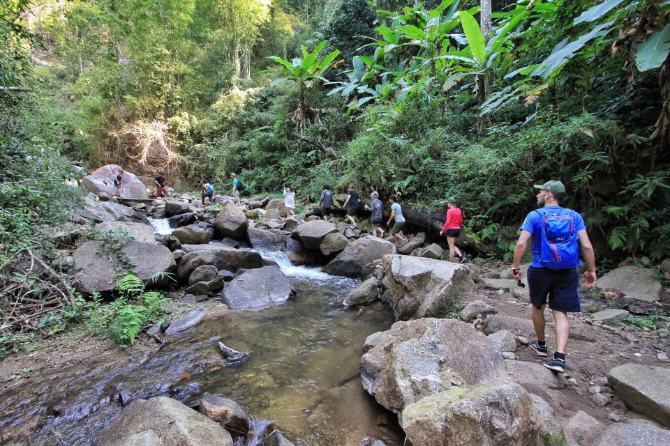 Chiang Mai: Guided Jungle and Waterfall Trek With Transfer - Transportation