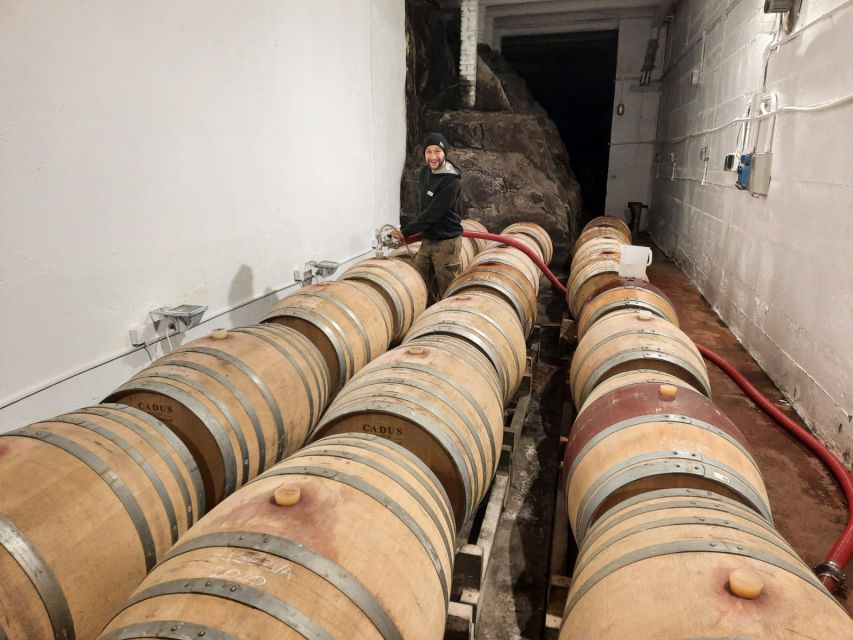Chianti Colli Fiorentini Winery Tour 18KM From Florence - VIP Wine Tour Experience