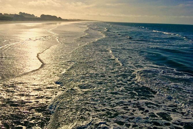 Christchurch Scenic Tour (1 Day Tour) - Pricing and Payment Options