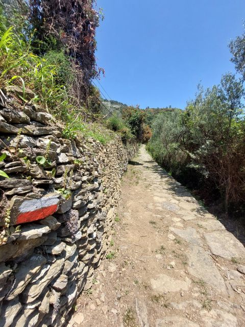 Cinque Terre From Vernazza to Monterosso and Sanctuaries - Descend on Ancient Mule Track