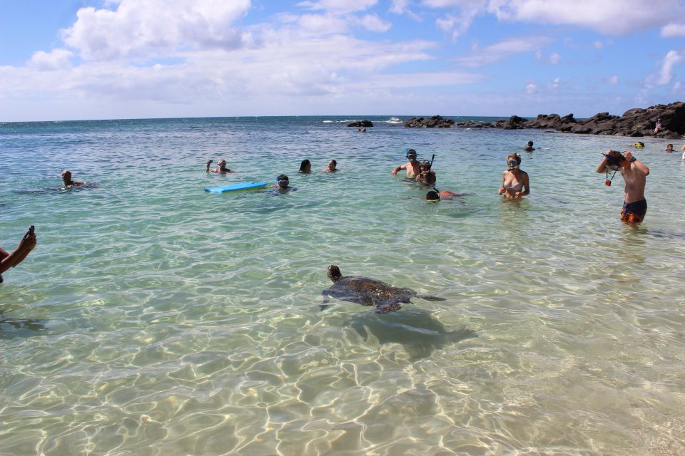 Circle Island: Swim With Turtles And Explore Paradise Oahu - Rain or Shine Activity