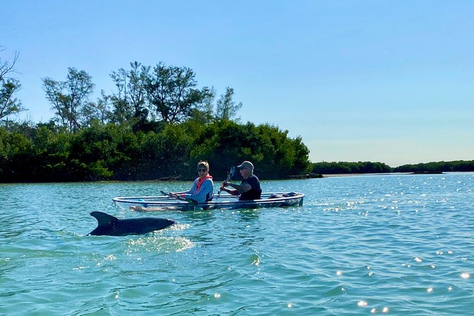 Clear Kayak Tour of Shell Key Preserve and Tampa Bay Area - Directions