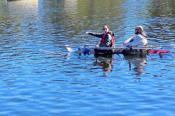 Clear Kayak Tour of Tarpon Springs | Manatee Season - Customer Feedback