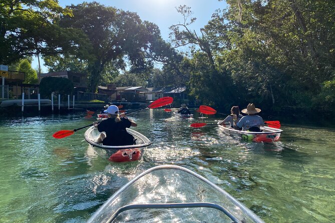 Clear Kayak Tours in Weeki Wachee - Tips for a Great Experience